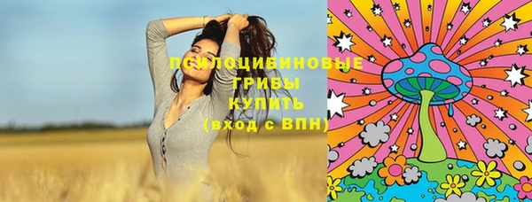 каннабис Майский